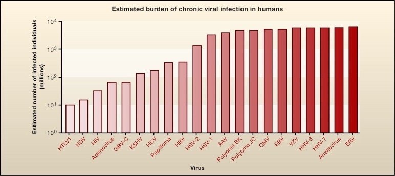 You already have an infection with these viruses. [Herbert Virgin at 2015 NIH Dyer Lecture](https://www.youtube.com/watch?v=TRVxTBuvChU)