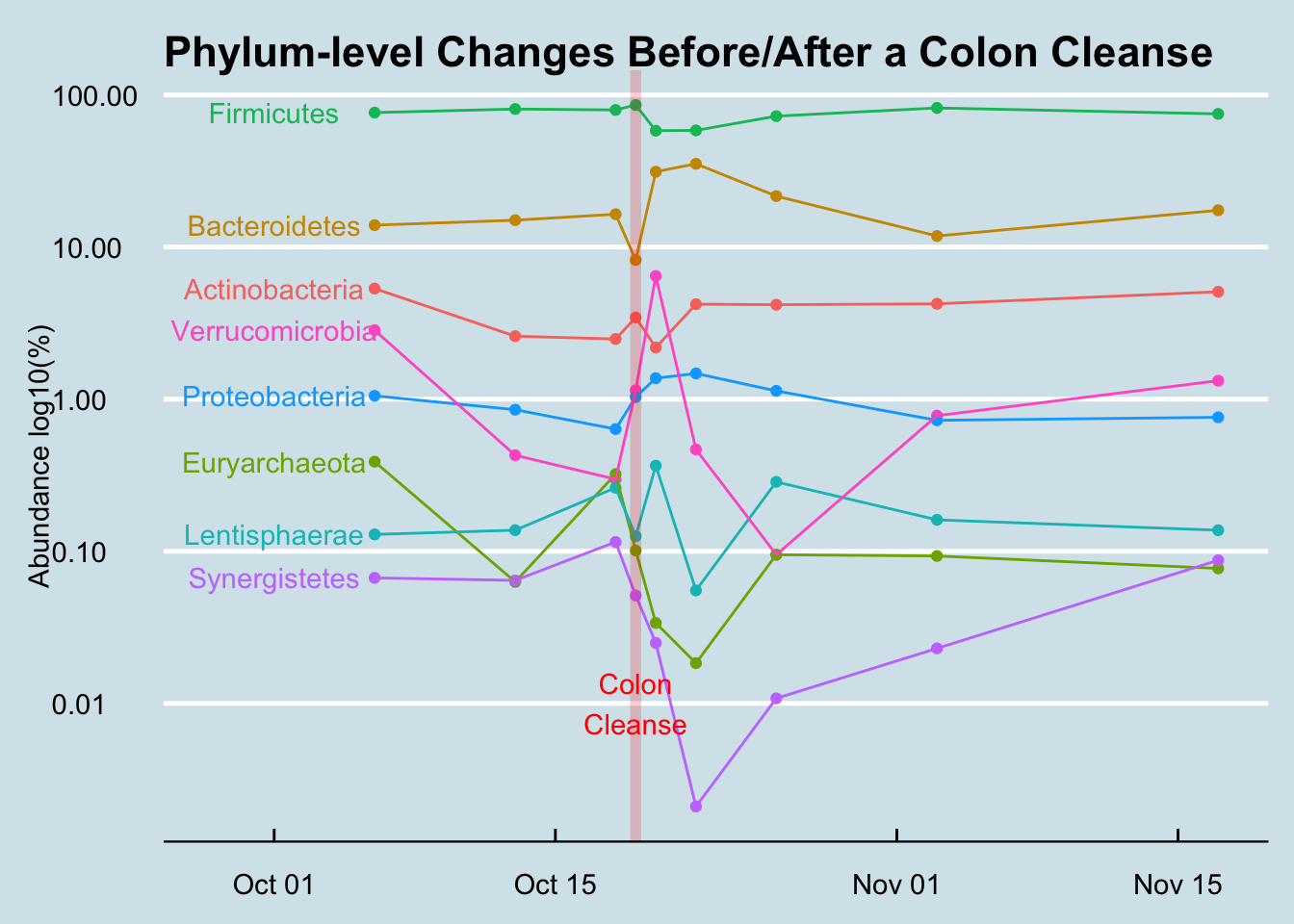 Overall phylum-level summary, from baseline (2 weeks before the cleanse) to CC (colon cleanse) to one month after CC.