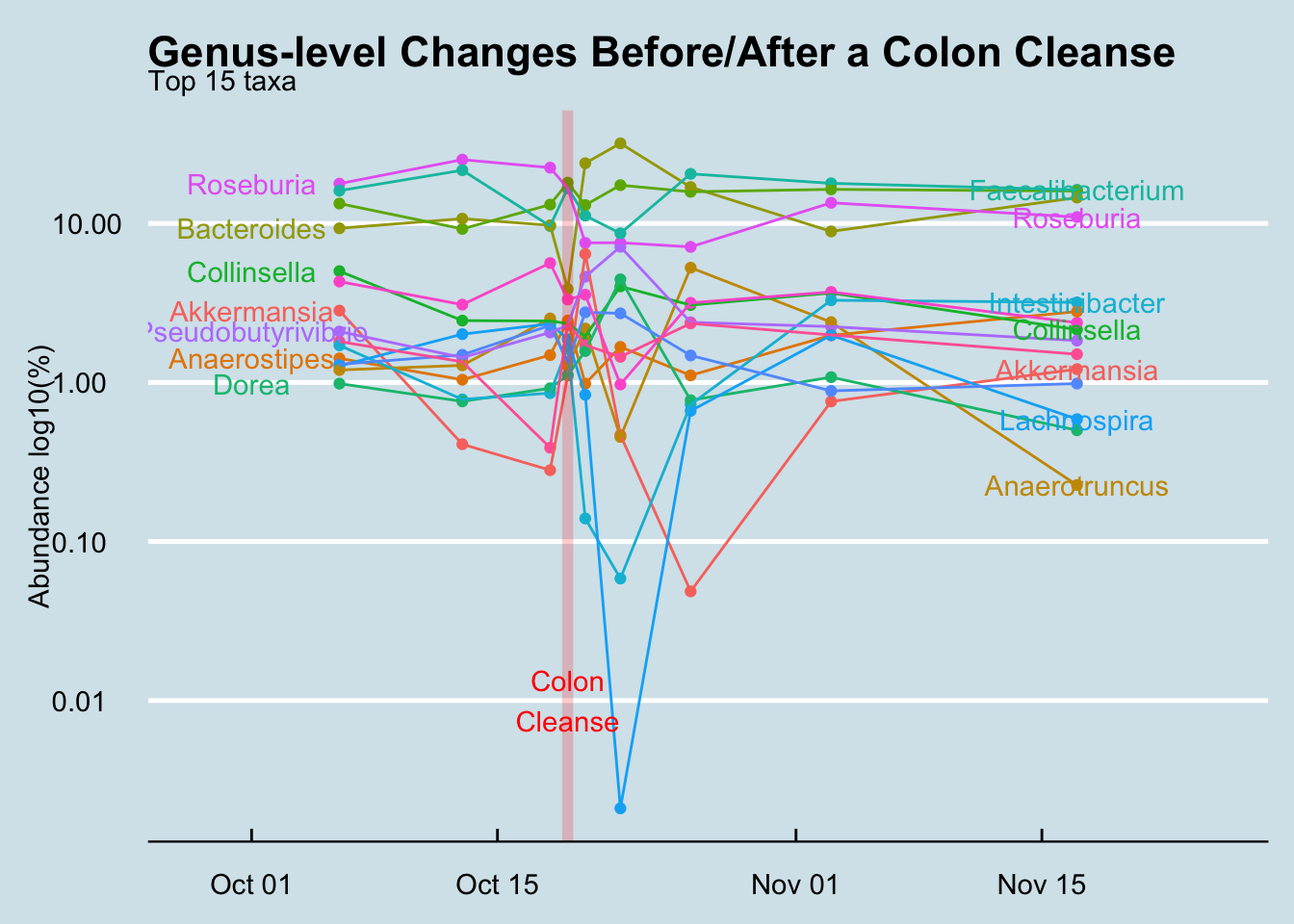 Overall Genus-level summary, from baseline (2 weeks before the cleanse) to CC (colon cleanse) to one month after CC.