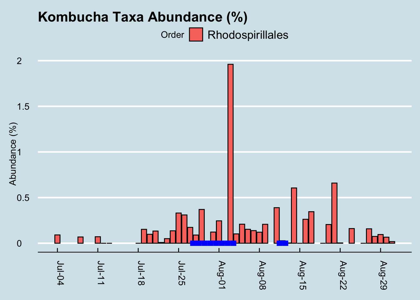 Abundance of microbes that include the genus Acetobacter found in the SCOBY