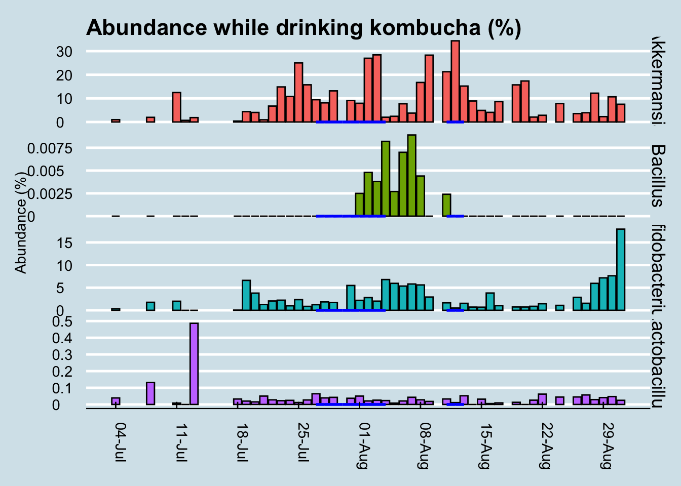 Daily abundance of key microbes while drinking kombucha (blue lines). Blank regions are days when I have no data.