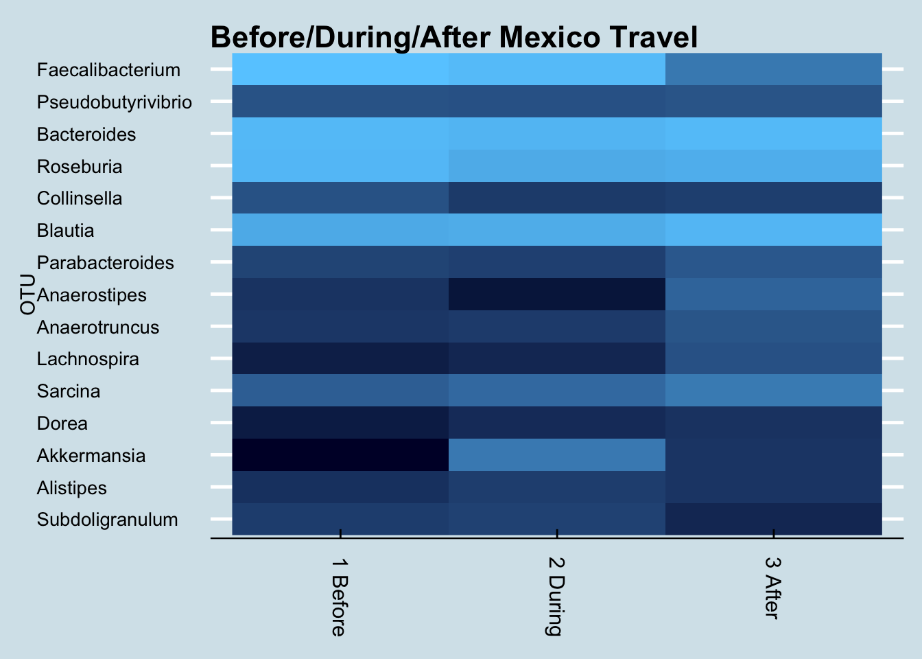 Changes in key genus abundance when traveling to Mexico. (Lighter shades are more abundant)